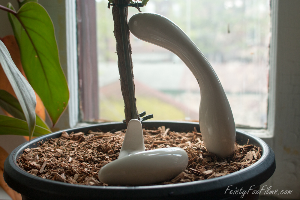 Dalia and Adori by Desireables