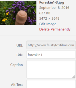 A screenshot of the backend information for an old uploaded photo in WordPress of the tip of a Tantus Uncut dildo among colourful flowers. The caption and alt text boxes for the image are all empty.