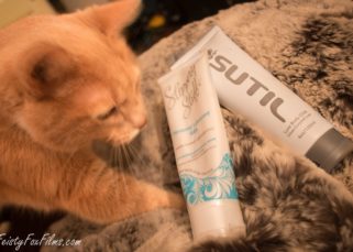 an orange cat kneeds a blanket next to a bottle of Slippery Stuff and a bottle of Sutil lubes